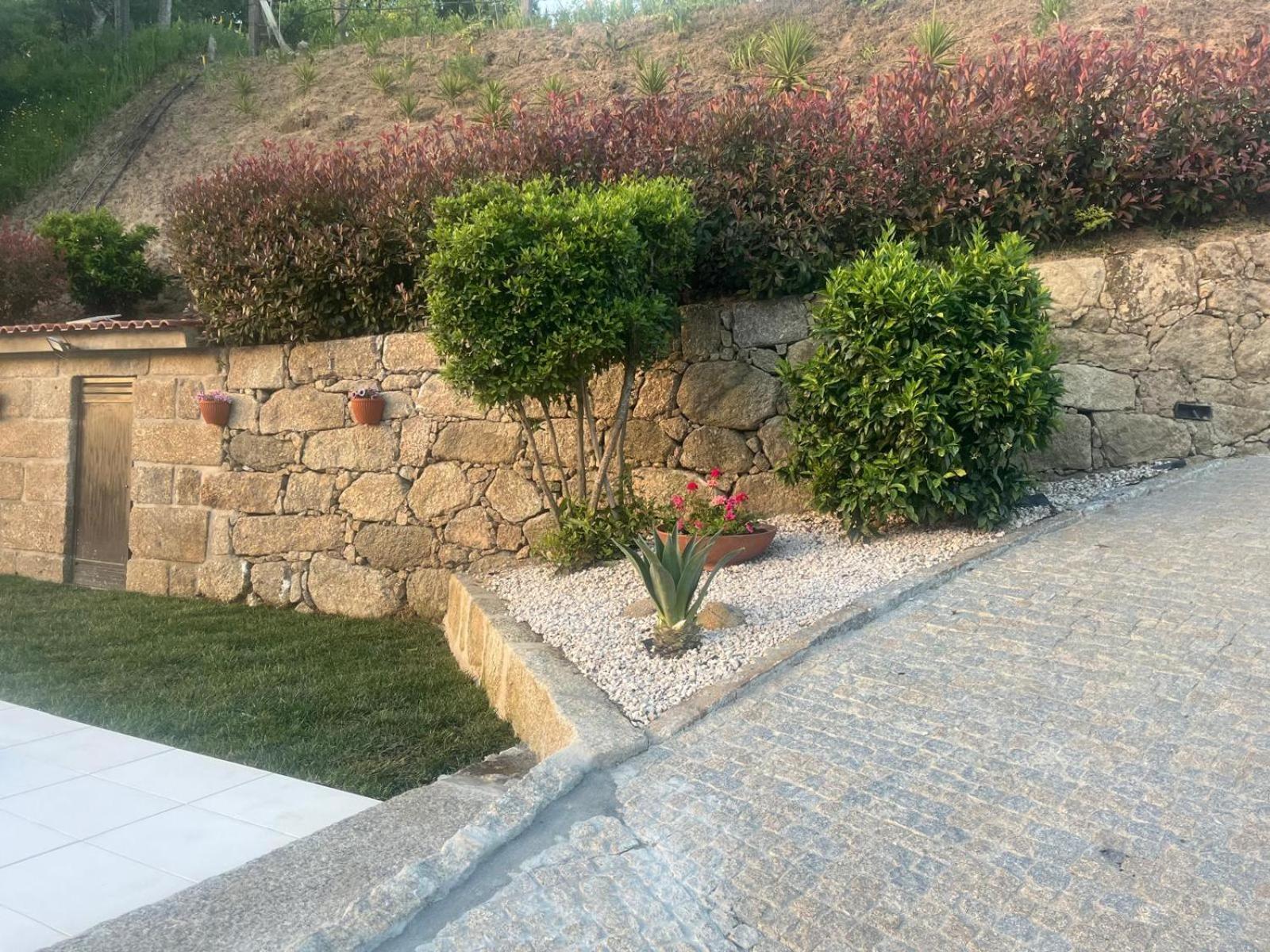 Crasto Payva Douro Nature Castelo de Paiva Ngoại thất bức ảnh