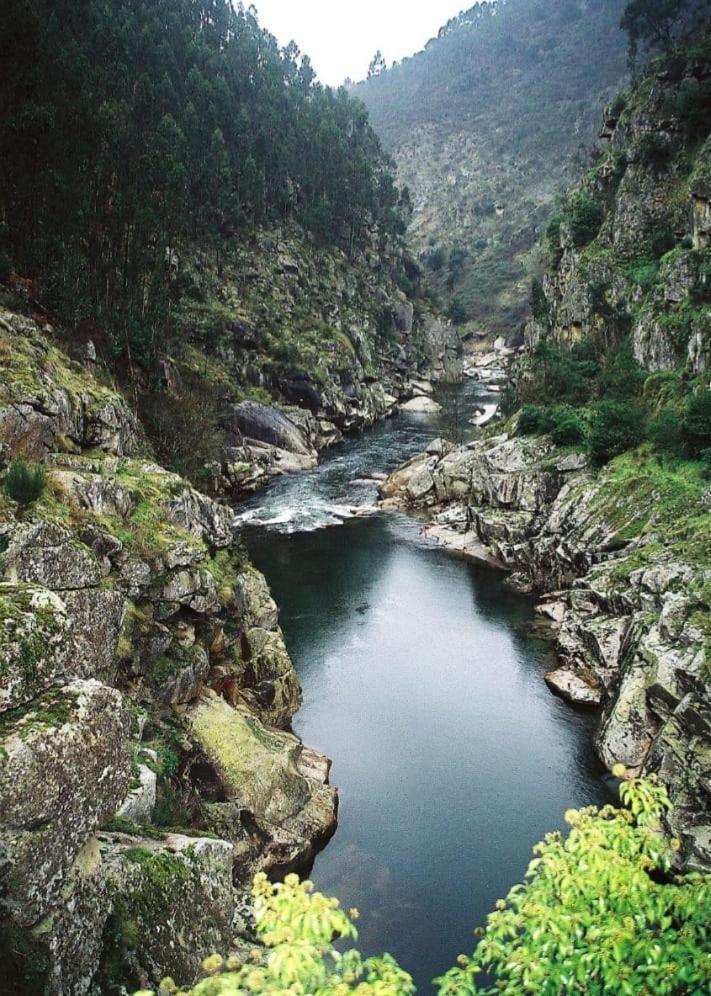 Crasto Payva Douro Nature Castelo de Paiva Ngoại thất bức ảnh
